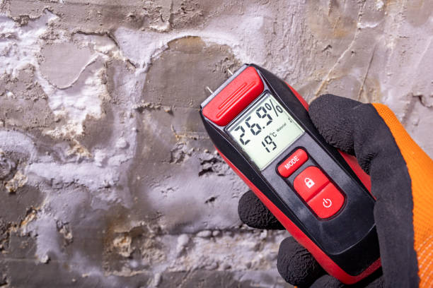 Mold Removal and Inspection in Paden City, WV